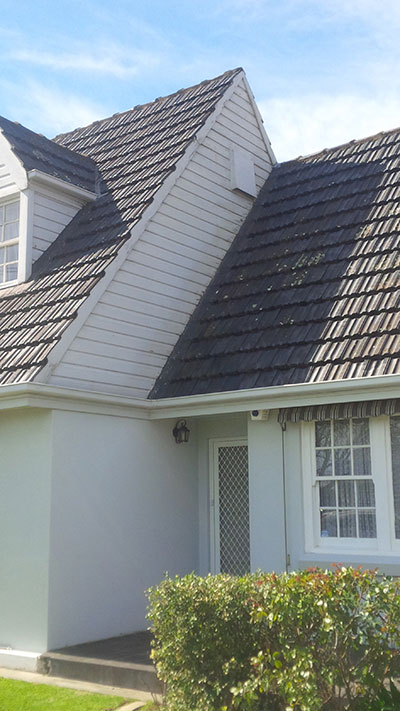 Asphalt Shingles